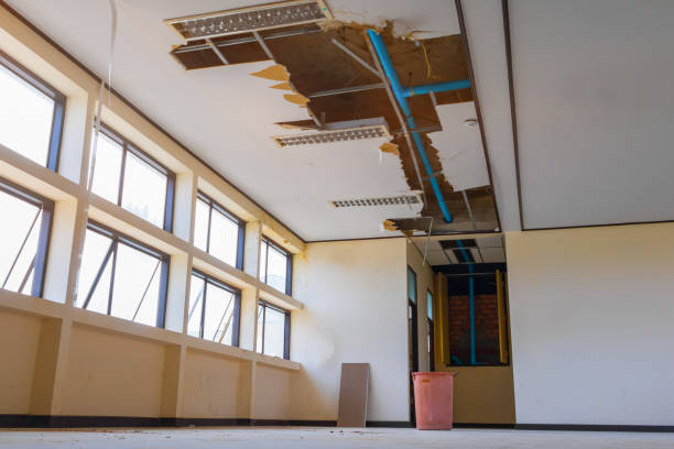 Best Water damage contractors near me  in Loxahatchee Groves, FL