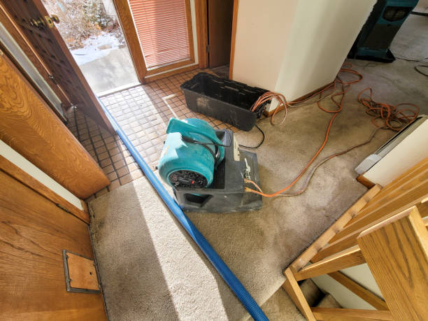 Best Emergency water damage restoration  in Loxahatchee Groves, FL