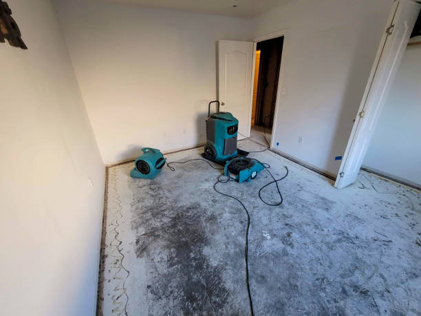 Loxahatchee Groves, FL Water damage restoration Pros