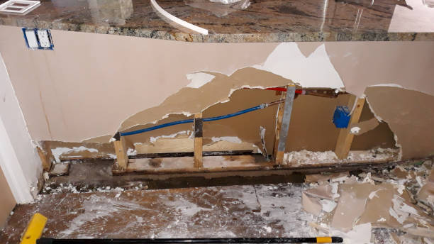 Best 24/7 water damage repair  in Loxahatchee Groves, FL