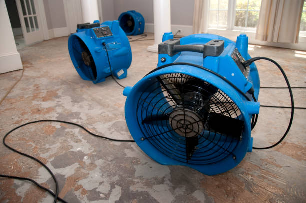 Best Commercial water damage restoration  in Loxahatchee Groves, FL