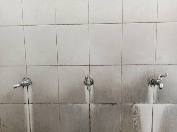 Best Water damage restoration process  in Loxahatchee Groves, FL
