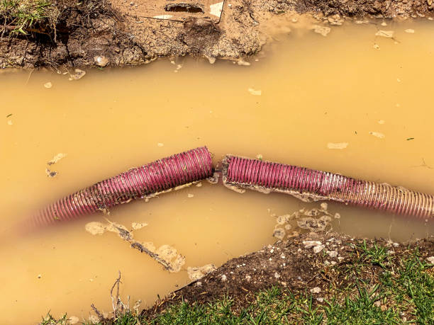 Best Water damage cleanup near me  in Loxahatchee Groves, FL