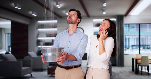 Best Local water damage restoration  in Loxahatchee Groves, FL
